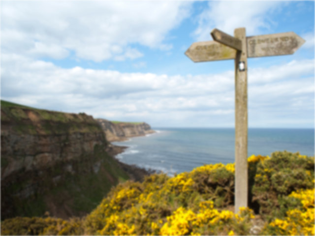 Dummy thumbnail with headline